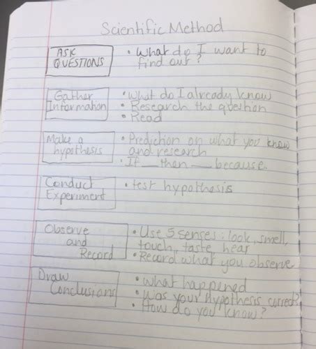 Scientific Method Flashcards Quizlet