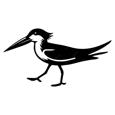 Black skimmer Clip Art Rynchops niger Bird Silhouette Skimmer Bird