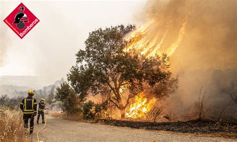 Hect Reas Calcinadas En Incendio En La Vall D Ebo