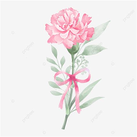 Mothers Day Png Picture Mothers Day Carnation Bow Illustration Mother