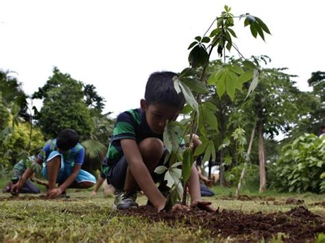 Maharashtra Plantation Drive Crore Saplings To Be Planted On July