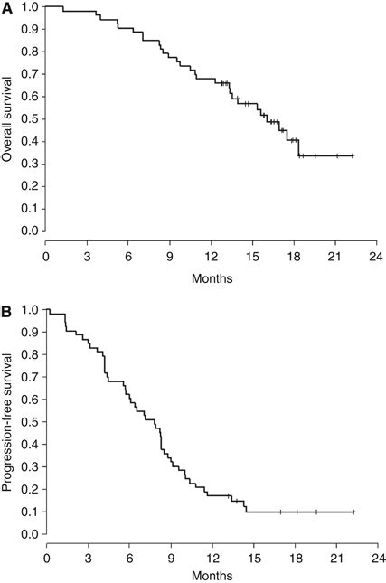 A The Kaplanmeier Overall Survival And B Progression Free Survival