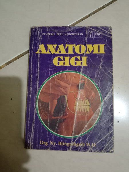 Jual Anatomi Gigi Buku Original Di Lapak Gomos Siahaan Bukalapak