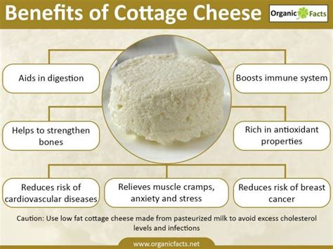 Benefits Of Cottage Cheese Artofit