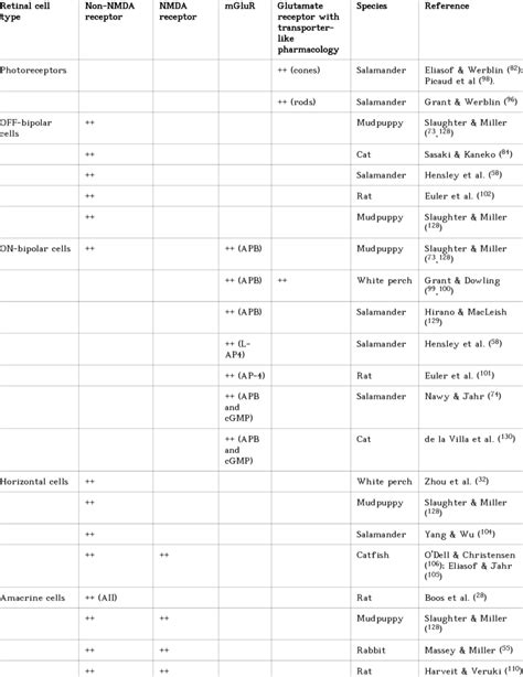 Glutamate receptor types on retinal neurons, electrophysiological ...