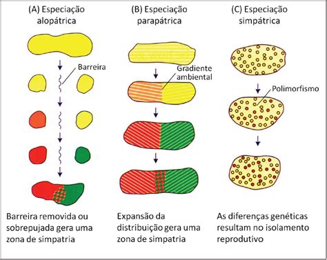 Tipos De Especiação - Exemplos De Isolamento Geografico ESPECIAÇÃO