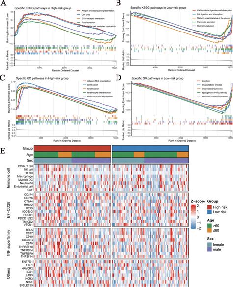 The Kegg And Go Enriched Pathways And Immune Landscapes In The High And