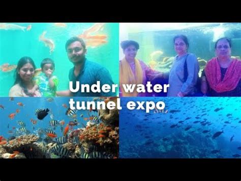 Vizag Under Water Tunnel Expo Fish Aquarium Sriyan S 1st Fish