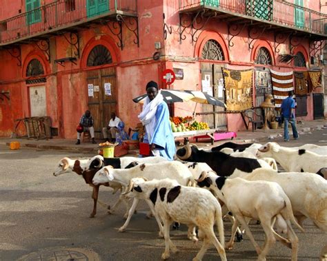 Quintessential dakar what to eat in senegal – Artofit