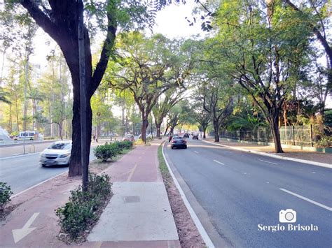 Avenida República do Líbano Ibirapuera Descubra Sampa Cidade de