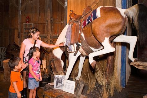 The Buckhorn Saloon Museum And Texas Ranger Museum Admission