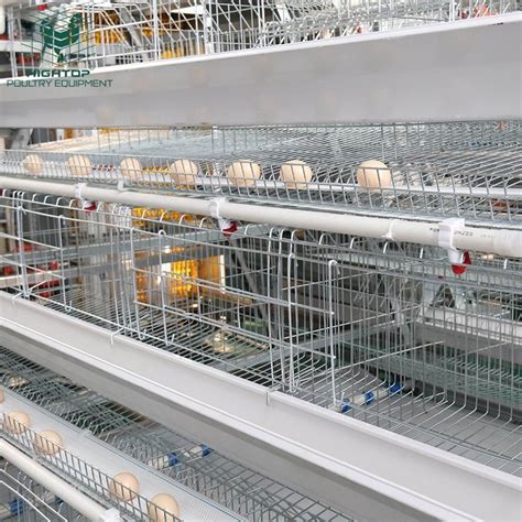 Galvanized Automatic A Type Hen Layer Chicken Cage Used In Zimbabwe