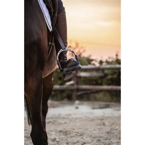 Herm Sprenger® Flexcite Stirrups | Dressage Extensions