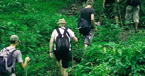 Rainforest Tours In Thailand Jungle Treks And Excursions Evaneos