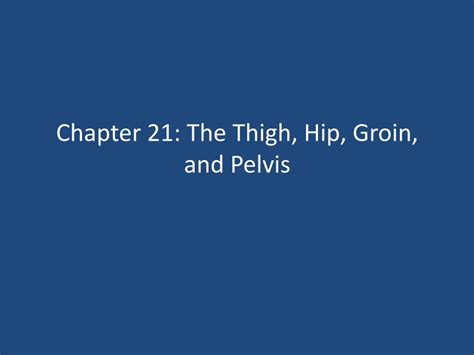 Pdf Chapter The Thigh Hip Groin And Pelvis Pdfslide Net