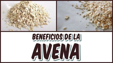 BENEFICIOS DE CONSUMIR AVENA EN EL DESAYUNO Spices Coconut Flakes Food