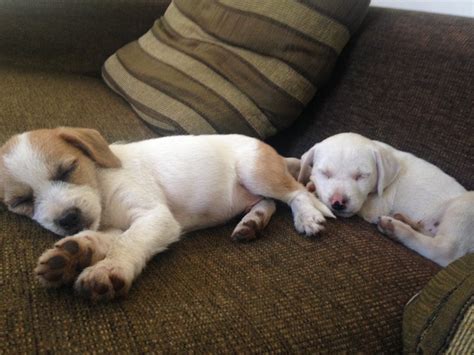 Exo Nera Gay On Twitter Tava Saindo Pra Ir Trabalhar E Qnd Abro O