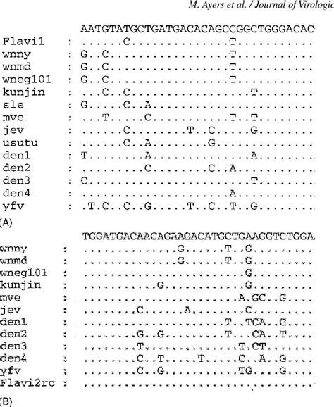 Figure From A Single Tube Rt Pcr Assay For The Detection Of Mosquito