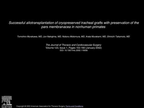 Successful Allotransplantation Of Cryopreserved Tracheal Grafts With