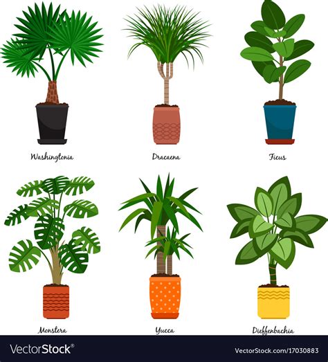 Decorative indoor palm trees in pots Royalty Free Vector