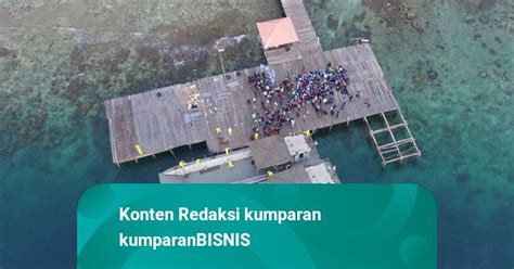 Kkp Larang Pengusaha Kuasai Pulau Kecil Maksimal Persen Dari