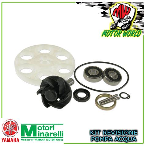 Kit Revisione Pompa Acqua Per Aprilia Area T Lc Ebay