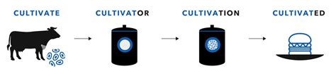 Meat cultivation: Embracing the science of nature | GFI