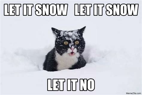 Let it snow Let it snow Let it no cat meme from Let It Snow Memes ...