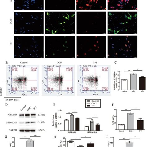 Topotecan Tpt Controls Pyroptosis And Attenuates Neuroinflammation In