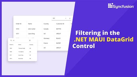 How To Perform Filtering In Net Maui Datagrid Control Syncfusion