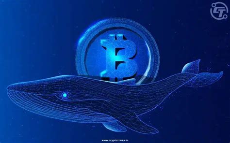 Bitcoin Whales Move Over 700 Million In Btc To Binance The Crypto Times