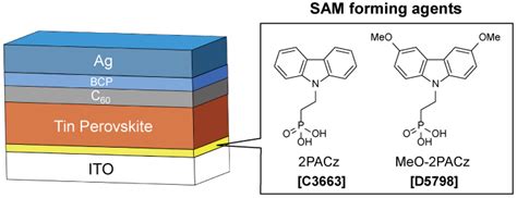 Self Assembled Monolayer Sam Forming Agents Making Tin Based Perovskite Solar Cells Efficient