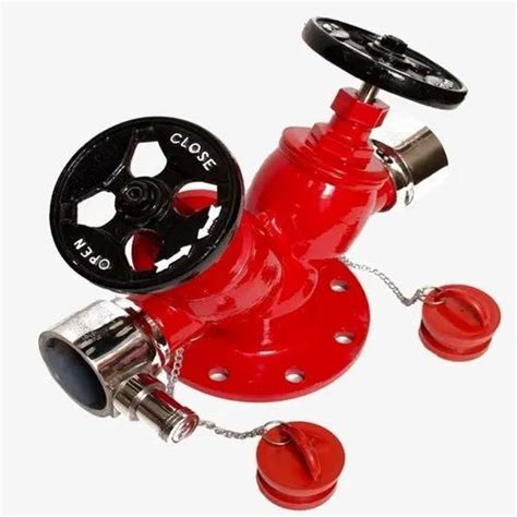 Stainless Steel Double Headed Fire Hydrant Valve At Rs 3500 In Chennai