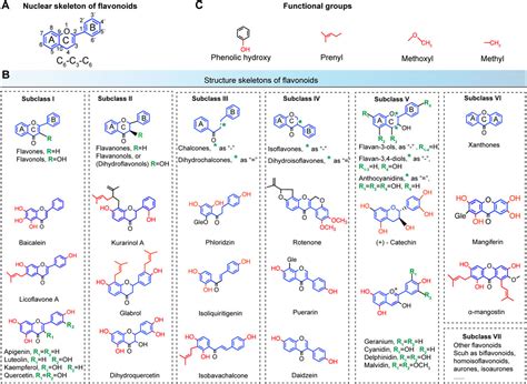 Frontiers Antibacterial Modes Of Herbal Flavonoids Combat Resistant