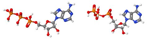 Pdb 101 Learn Guide To Understanding Pdb Data Small Molecule Ligands