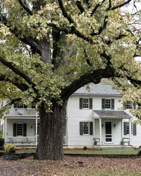 Local groups are gathering to honor burr oak cemetery 2