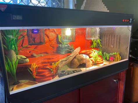 Pvc Reptile Enclosure 60 Cm X 40 Cm X 40 Cm With Thermostat Madees