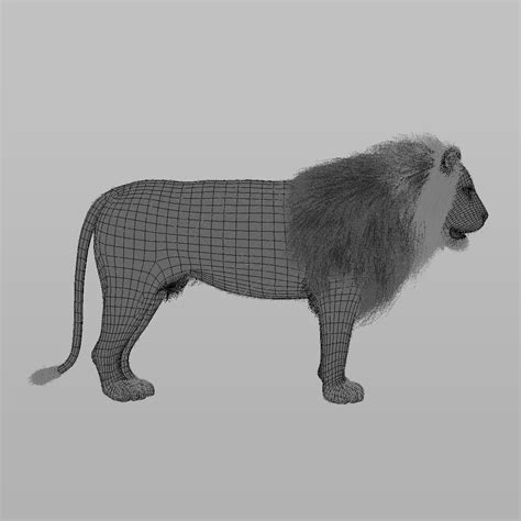 3d Lion Fur