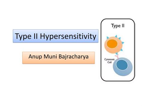 Type Ii Hypersensitivity Antibody Mediated Cytotoxic Hypersensitivity Ppt