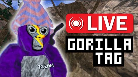 Gorilla Tag Live With Viewers Minigames Codes Youtube