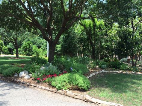 53 Best Images About Texas Shade Garden On Pinterest Gardens Texas