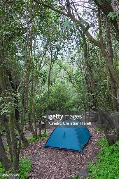 La Campana National Park Photos and Premium High Res Pictures - Getty ...