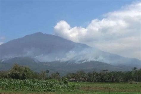 Dampak Kebakaran Hutan Jalur Pendakian Ke Lawu Ditutup