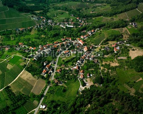 Neusatz Aus Der Vogelperspektive Dorf Ansicht Am Rande Waldgebieten