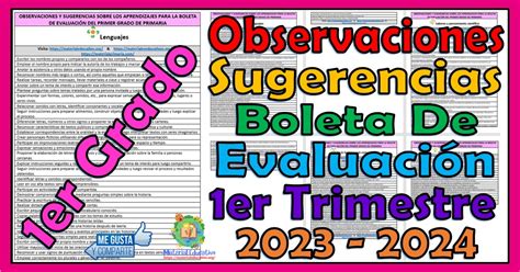 Observaciones Y Sugerencias Para La Boleta De Evaluaci N Del Primer