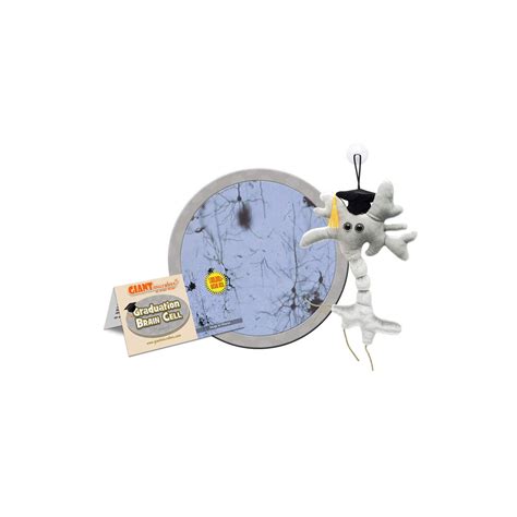 GIANTmicrobes Graduation Brain Cell Plush - Celebrate with Our ...