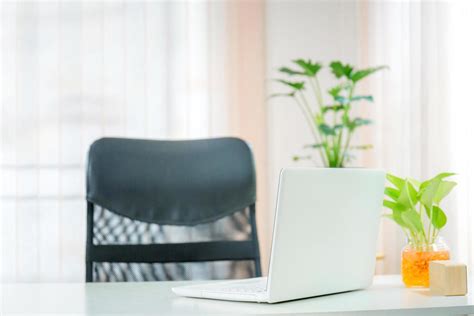 office workplace  laptop  potted plant  white wood table