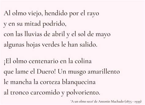 Descubre Las Mejores Frases Cortas De Rosal A De Castro En Gallego