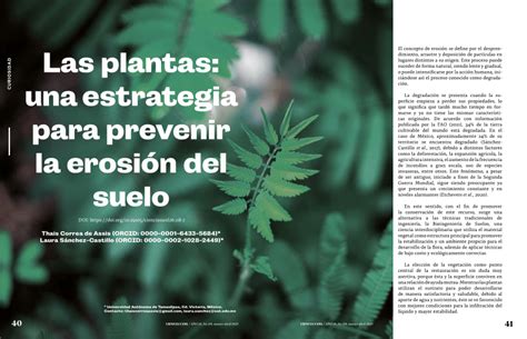 Pdf Las Plantas Una Estrategia Para Prevenir La Erosi N Del Suelo