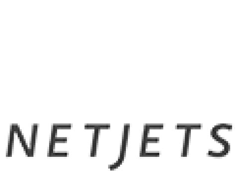 NetJets Mini Logo